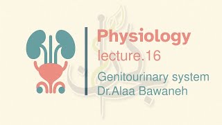 UGS-Physiology | Lec.16 | Maturation and Fertilization of the Ovum