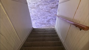 How to approach the stairs with a white cane #white cane #blind #visually impaired #stairs￼