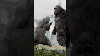 #video #funny #sajaungalutkarbhiterebadankida #shortvideos #viral #ekmotahathighumechala #comedy