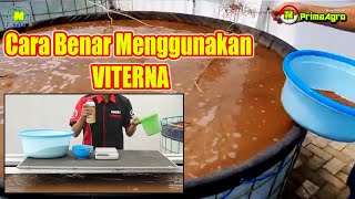 CARA PENGGUNAAN VITERNA UNTUK IKAN DAN TERNAK - Cara Budidaya Lele Bioflok Dengan Viterna CARA PENGGUNAAN VITERNA UNTUK IKAN DAN TERNAK - Cara Budidaya Lele Bioflok Dengan Viterna