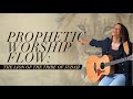 LION OF JUDAH,HE WILL HAVE HIS WAY -prophetic worship