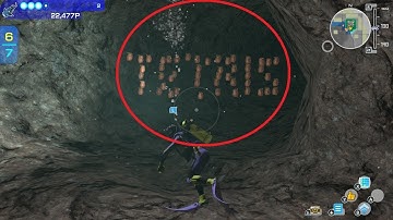 TETRIS EASTER EGG in Endless Ocean Luminous