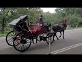 Colorful Horse Carriages - Central Park New York!