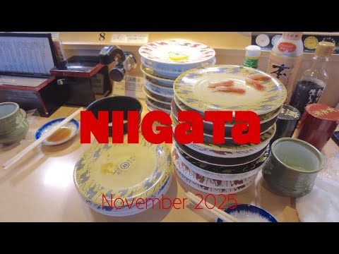 Niigata Travel Vlog (11/47)