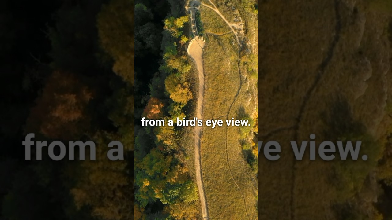 Cinematic Drone Movement to Learn: Following Top-Down Shot