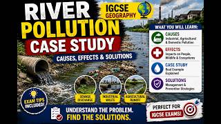River Pollution Case Study Explained | Causes, Effects & Solutions | IGCSE Geography