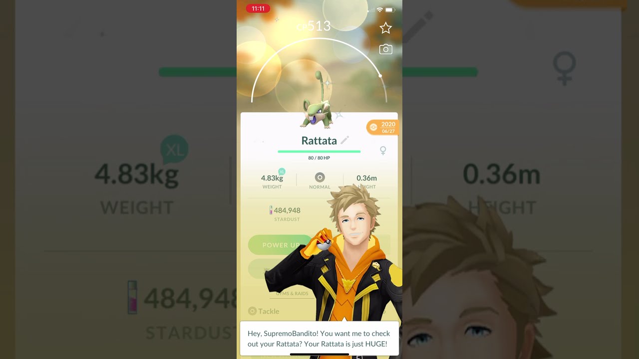Shiny Rattata in Pokémon Go -Rare-