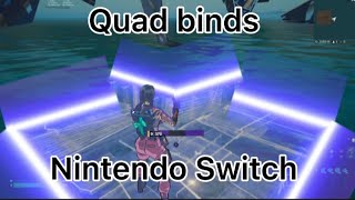 How to Get Quad Edit Binds On Nintendo Switch