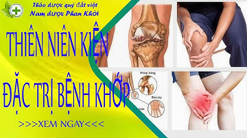 thiên niên kiện - Chỉ cần có bình rượu này trong nhà sẽ không phải lo về bệnh xương khớp
