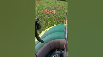 Thằng bạn tặng cho cặp lưỡi câu thấy gớm #shorts