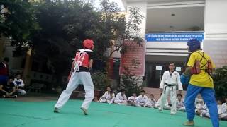 Vovinam vs teawondo