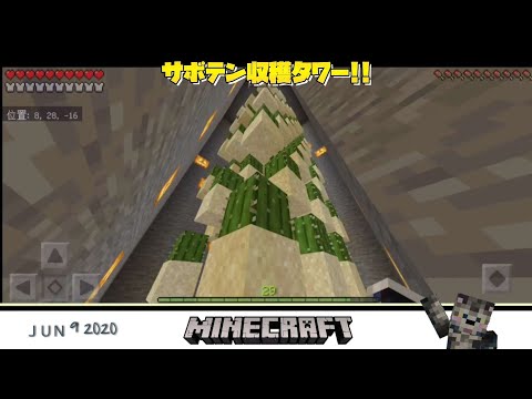 【マインクラフト】サボテン栽培始めました❗【Twitterにちにち動画】2020/6/9