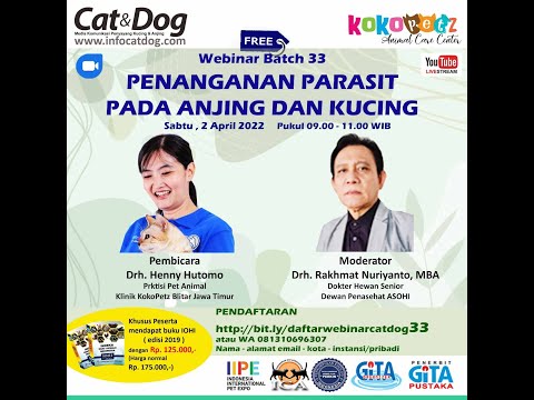 Video: Metode Perawatan Anjing yang Lebih Cerdas dan Lebih Lembut Yang Mungkin Menyelamatkan Nyawa Mereka