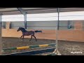 RINGO STARR 3år e.Magic Park ue.Couleur Rouge x Contender