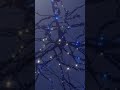 #holiday #neuron #nih #short #shorts #science #neuroscience