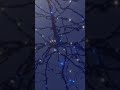 #holiday #neuron #nih #short #shorts #science #neuroscience