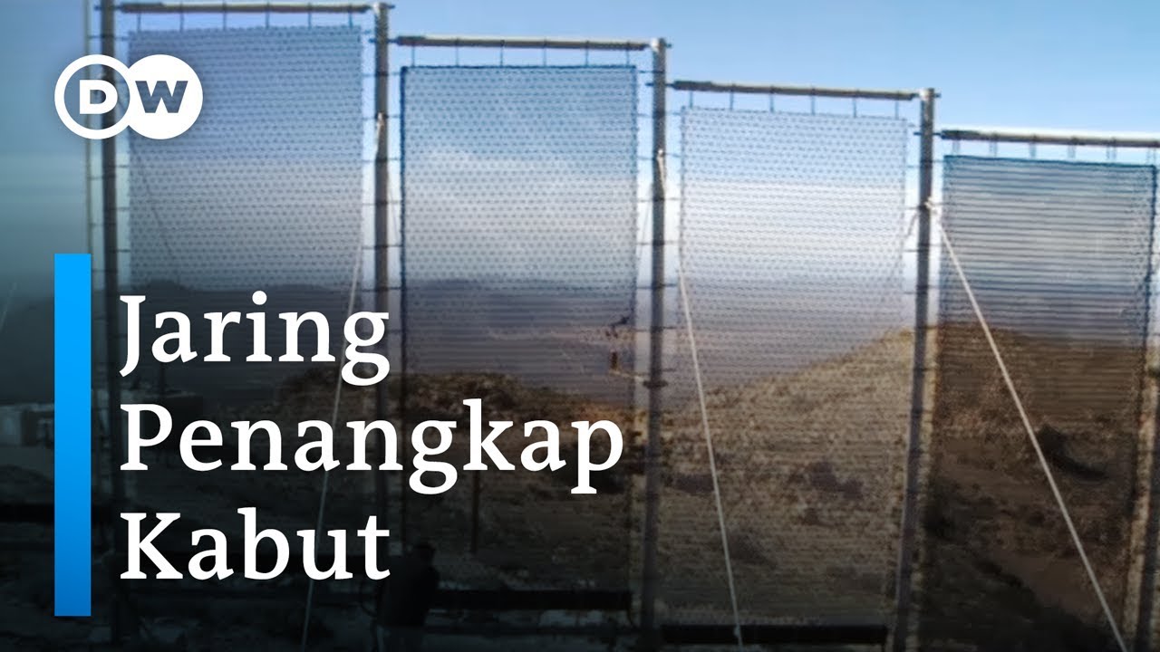 Menyulap Kabut Jadi Air