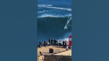 catch_the_wave_or_tsunami_🤔-##shorts-##video