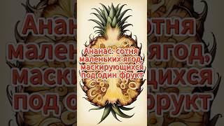 Ананас: сотня маленьких ягод, маскирующихся под один фрукт.#ананас #фрукты#интересныефакты #ботаника