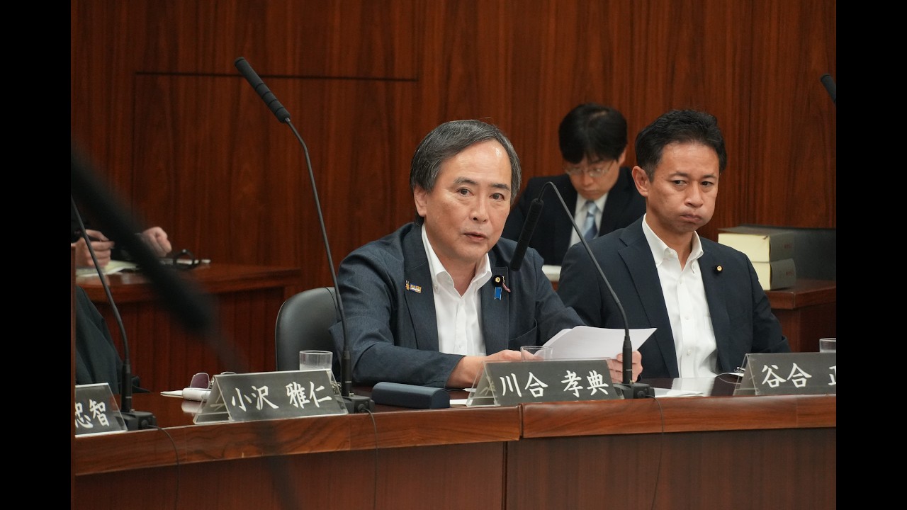 【参院憲法審査会】緊急事態への対応と国会機能の維持について意見表明