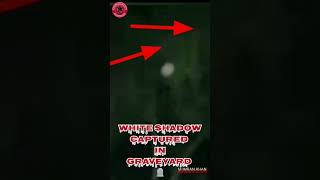 Ghost White Shadow #aadientertainer #ghost #graveyard #horror #paranormalactivity #fyp #foryou