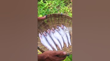 Pabda Fish Curry #cooking #shorts #fish #asmr