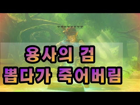젤다의전설 용사의검 마스터소드 뽑다가 죽어버림