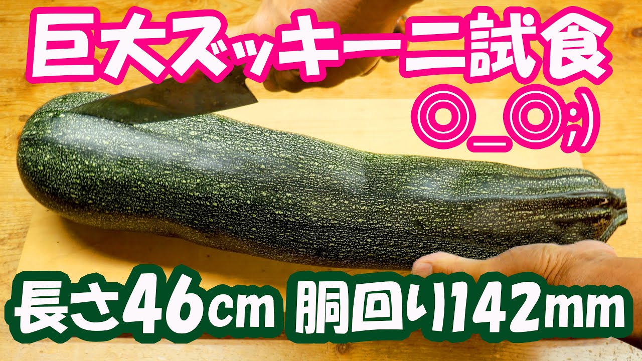圧巻46cm【巨大ズッキーニ試食】これは旨いのか? - YouTube