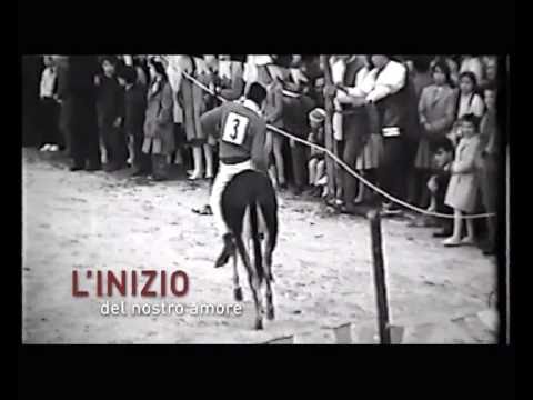 palio dei micci trailer short