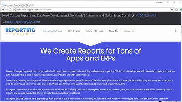 Expert Report Writing Services by ReportingGuru | Reporting & BI Specialists