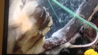Pot fishing Alaska