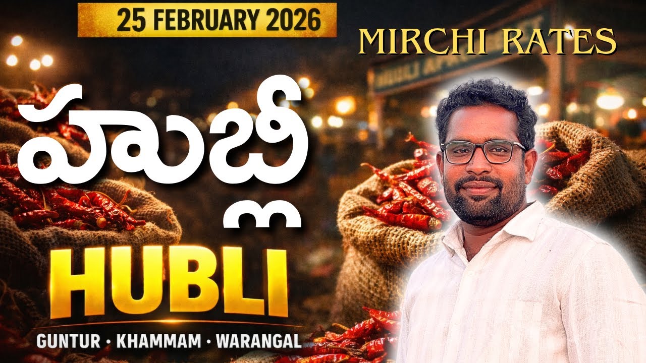 25 February 2026 🔥 ఈరోజు మిరప రేట్లు ఎంత? | Hubli – Guntur – Warangal – Khammam 🌶️ #mdhasanagritech 