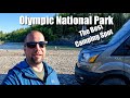 Olympic National Park | The Best Camping Spot | Family Van Life