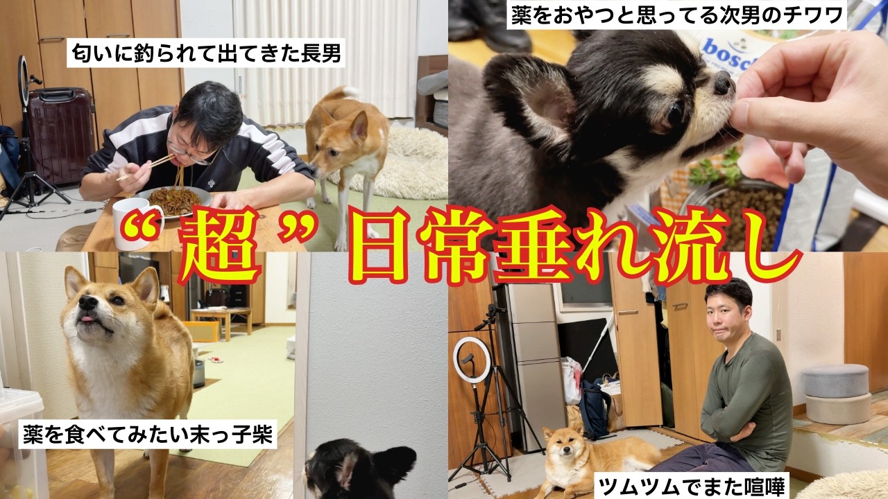 Quick glance] The silly, silly, and realistic daily life of a man