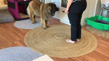 Shaping head dip (lesson 4, exercise 4.1)