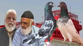 ustad haji yousuf sab key shagard khalifa RAJA khalid of karachi ki chat se pigeons shoq