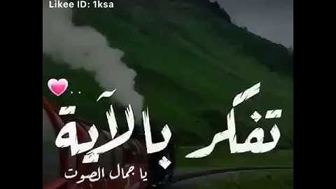 قرآن كريم ❤ -- أجمل حالات واتس اب دينيه 🖤 -- تلاوة خاشعة 🌘😴