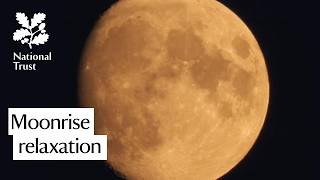 Watch the moon rise | 60 Minutes of soothing ambient music