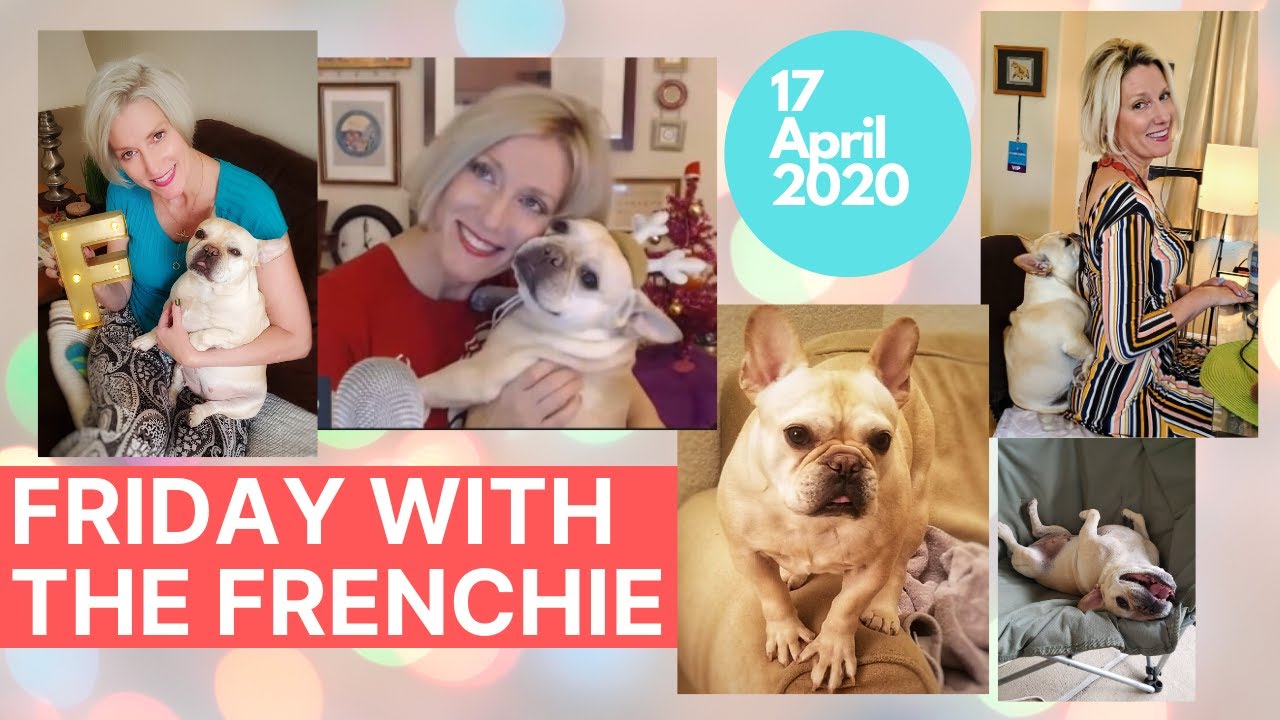 fridaywiththefrenchie-how-many-days-in-april-1000-youtube