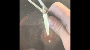 Simply compare your sharpened scissors to the edges on a new shear. Game Over!