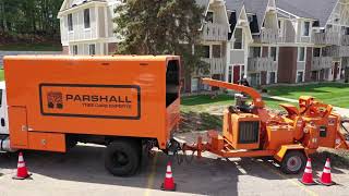Parshall Tree Care Experts - Full Service for #multifamily