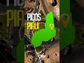 Ciro Nogueira - Picos / PI