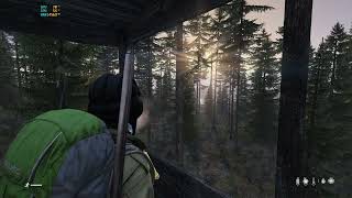 DayZ im Alone #2 // chillout music and gaming // dark ambient