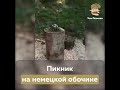 Пикник на немецкой обочине