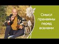 Когда лучше выполнять пранаяму - до или после асан?