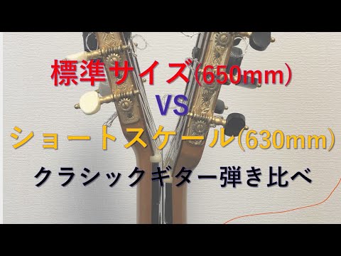 ショートスケール(630mm)と標準サイズ(650mm)のクラシック