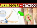 DESBLOQUEA el NERVIO CIATICO| Que es y como curar la Ciática?