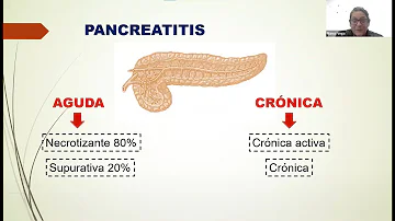 ¿Cómo comprueba un veterinario la pancreatitis?