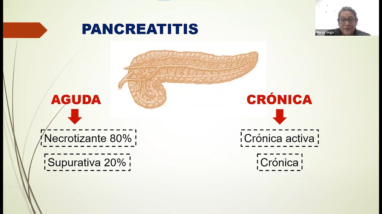 Pancreatitis en pacientes caninos y felinos, como diagnósticarlo y como manejarla