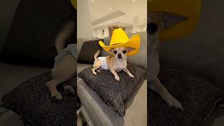 The Camera Caught His Imaginary Friend